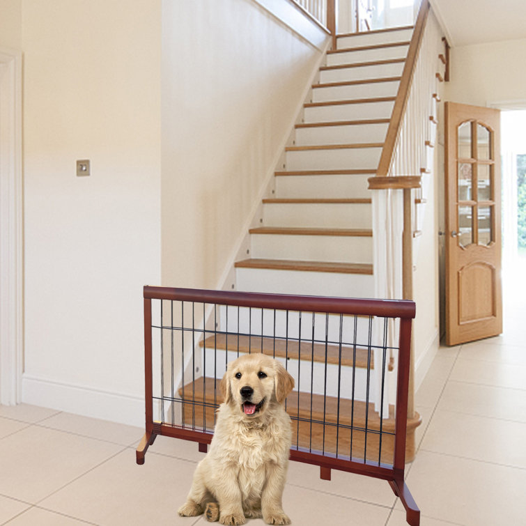 Heart to tail on sale pet freestanding wood gate